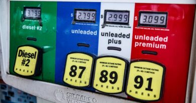 Countries with solar and EVs better positioned as energy crisis grows Photo by Ekaterina Belinskaya on Pexels