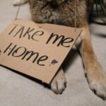 Miss. lawmaker files resolution urging temporary workers' bill of rights Photo by cottonbro studio on Pexels