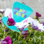 Hal’s St. Paddy’s Parade draws thousands to downtown Jackson Photo by RDNE Stock project on Pexels