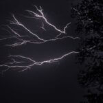 Mississippi State baseball dominates Ole Miss in weekend sweep Photo by Chris F on Pexels