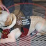 Fourth annual Mississippi Public Safety Summit set for May 19-22 Mark your calendars!