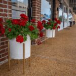 Coordinated push revives downtown Carthage, officials say Strategic, unified vision transforms Carthage