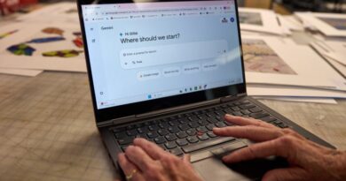 More than a quarter of U.S. workers using AI say it has replaced some tasks, survey finds 20 percent say AI has taken over parts of their job: Survey