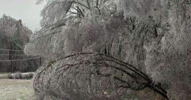 Federal Individual Assistance Approved for Tippah County After January Winter Storm Federal Individual Assistance Approved for Tippah County After January Winter Storm