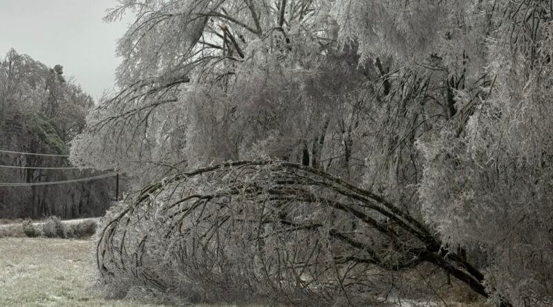 Federal Individual Assistance Approved for Tippah County After January Winter Storm Federal Individual Assistance Approved for Tippah County After January Winter Storm