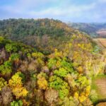 Mississippi creates Rural Health Transformation Program Office Photo by Tom Fisk on Pexels