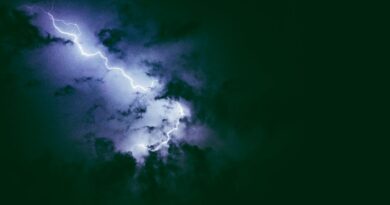 Brian Hadad, Carlo Barone Debut Official ‘The Rumblings’ Mailbag Podcast Photo by Tan Danh on Pexels