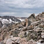 Denise Jones Gregory chosen as Jackson State’s 14th president Photo by Robert Schrader on Pexels