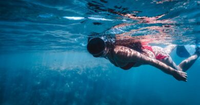 South African politician snorkels in pothole to highlight city management issues Photo by Joao Ricardo Januzzi on Pexels