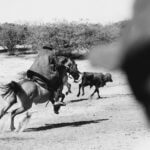 Actor Nathan Chasing Horse sentenced to life in prison for sexual assault Photo by Kássia Melo on Pexels
