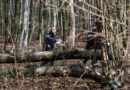 Three dead, including baby, after tree falls during Easter egg hunt in Germany Baby among 3 dead in holiday horror as Easter egg hunt turns deadly
