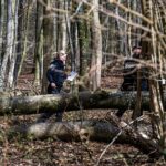 Three dead, including baby, after tree falls during Easter egg hunt in Germany Baby among 3 dead in holiday horror as Easter egg hunt turns deadly