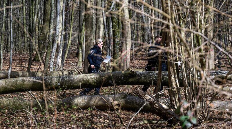 Three dead, including baby, after tree falls during Easter egg hunt in Germany Baby among 3 dead in holiday horror as Easter egg hunt turns deadly