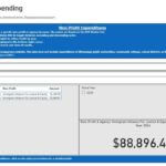 Nonprofit spending dashboard searchable, website reminder says REMINDER: You can go to the Non-Profit Spending Dashboard under the "Reports" tab on our website and