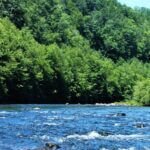 Boy, 12, drowns during Pennsylvania school rafting trip 12-Year-Old Boy Dies After Raft Capsizes During School Trip in Pennsylvania