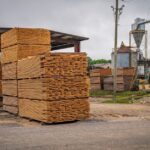 Mississippi awards $5 million for forestry infrastructure projects Photo by Mark Stebnicki on Pexels