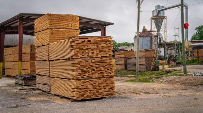 Mississippi awards $5 million for forestry infrastructure projects Photo by Mark Stebnicki on Pexels