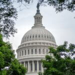 Wyoming lawmakers cite population growth to back proposed partial abortion ban Photo by Ramaz Bluashvili on Pexels