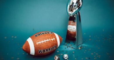 NFL announces 2026 schedule with Super Bowl rematch, international games in France and Australia Photo by RDNE Stock project on Pexels