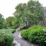 Swarthmore removes professor's name from hall after review finds he excavated Native burial Liberal arts college drops prof’s name from campus hall after grave dig controversy
