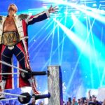 WWE main roster includes Cody Rhodes, Roman Reigns, Rhea Ripley and Liv Morgan Current WWE main roster