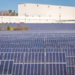Solar Power Reaches New Milestones in U.S. Amid Efforts to Boost Coal Photo by Mark Stebnicki on Pexels