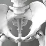 FDA-approved vibration device may slow bone density loss, NPR reports Photo by Magda Ehlers on Pexels