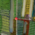 Delta Harvest market opens in Jackson to boost local farmers Photo by Felix Schickel on Pexels