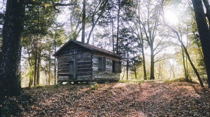 Photo by Bearded Texan Travels on Pexels