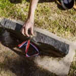 Wilkinson County rejects renaming of road where Black veteran was killed; family seeks memorials Photo by RDNE Stock project on Pexels