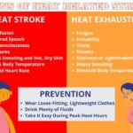 MEMA lists three Greenwood cooling centers, urges heat precautions Photos from Mississippi Emergency Management Agency's post