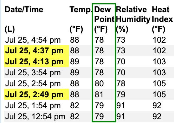 Understanding dewpoint: Why glasses fog up outdoors Meteorologists often talk about the "dewpoint", but what is it?