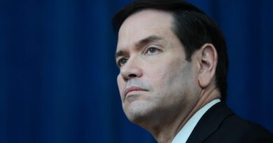 Rubio to lead first meeting of new economic diplomacy group Rubio to host diplomacy meeting 'critical to advancing' US economy