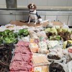 Border K-9 finds nearly 100 pounds of banned meat, plants and monitor lizard in suitcase from Thailand Border K9 sniffs out 99 pounds of prohibited meat, plants and monitor lizard in suitcase from Thaila