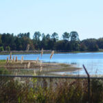 Judge questions Jackson officials on Lake Hico data center discussions Judge questions Jackson officials about Lake Hico data center discussion