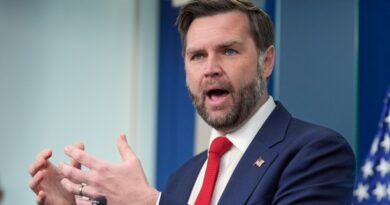Vice President Vance calls Supreme Court birthright ruling a ‘major mistake’ Vance calls Supreme Court birthright ruling a 'major mistake'