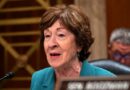 Collins says State Department will reinstate $600 million for Gavi Collins says State Department will reinstate funding for global humanitarian vaccine alliance