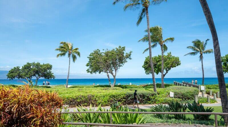 California family members claim they were attacked at luxury Maui resort during violent melee