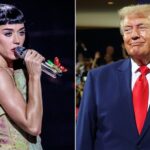 Katy Perry criticizes White House for using 'Firework' in military TikTok video Katy Perry blasts White House for using hit song 'Firework' she sold in $225M catalog deal