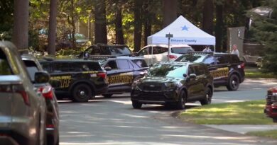 Eight family members, including six children, found dead in Michigan house fire; some victims shot 8 family members, including 6 children, found dead in Michigan fire; at least one victim shot: polic