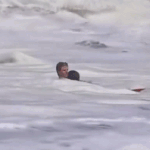 16-year-old lifeguard rescues child from powerful surf at Santa Cruz beach Heroic 16-year-old lifeguard rescues child from monster surf in heart-stopping video