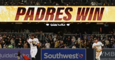 Minor league coach Oswaldo Pirela released from ICE custody Minor league baseball coach released from ICE custody