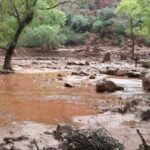 Body of 46-year-old recovered after Grand Canyon flash flood, park service says Body of 46-year-old man recovered after flash flooding in Grand Canyon, park service says