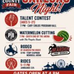 Tippah County Fair Offers Family Night of Rides, Rodeo, Organizers Say There’s something special about a night at the Tippah County Fair