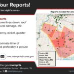 Social media post seeks reports of downed trees after storms Did you wake up to a downed tree in your yard?