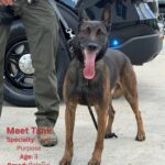 Mississippi agency spotlights four K-9 officers for National Dog Month Photos from Mississippi Department of Public Safety (Official)'s post