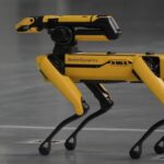 ICE may spend up to $2 million on robot 'dogs,' DHS document says ICE plans to spend $2 million on dog-like robots for immigration enforcement
