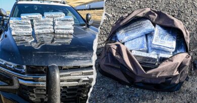 Traffic stop in Merced County seizes 30 pounds of suspected cocaine; driver arrested Routine California traffic stop leads to seizure of 30 pounds of cocaine worth more than $800K