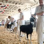 N.C. health officials warn visitors after mobile petting zoo goats test positive for rabies North Carolina warns mobile petting zoo visitors of rabies exposure after baby goats test positive