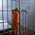 Brendan Banfield Sentenced to Life in Plot to Kill Wife Photo by RDNE Stock project on Pexels